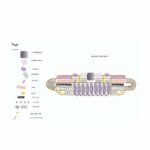 bracelet incas large Violet Composition