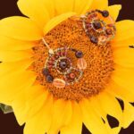 Earrings-Shinju-small-Garnet-Ziio-Jewels